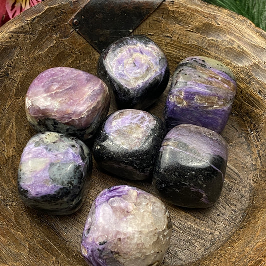 Charoite Large Tumbled Pocket Stone