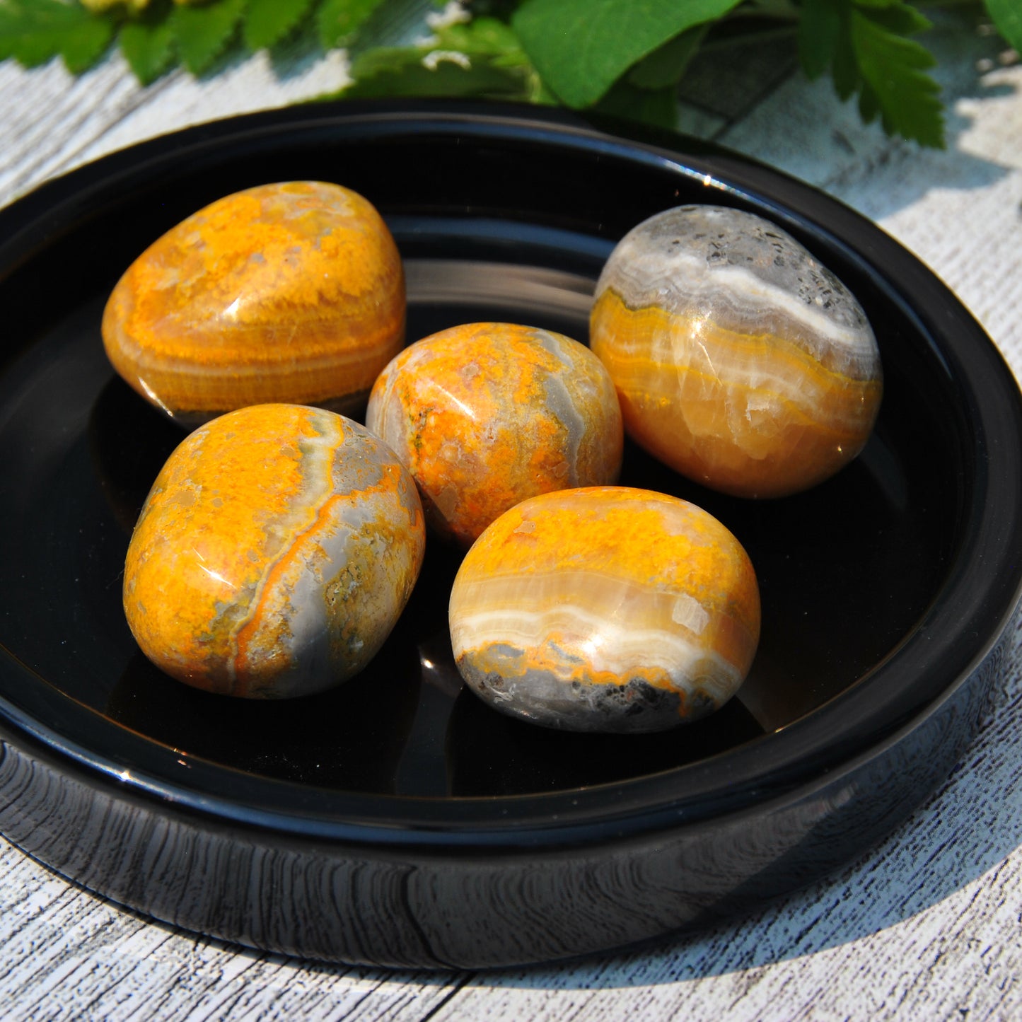 Bumble Bee Jasper Tumbled Pocket Stone