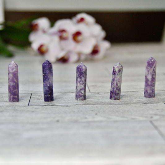 Lepidolite Crystal Mini Points