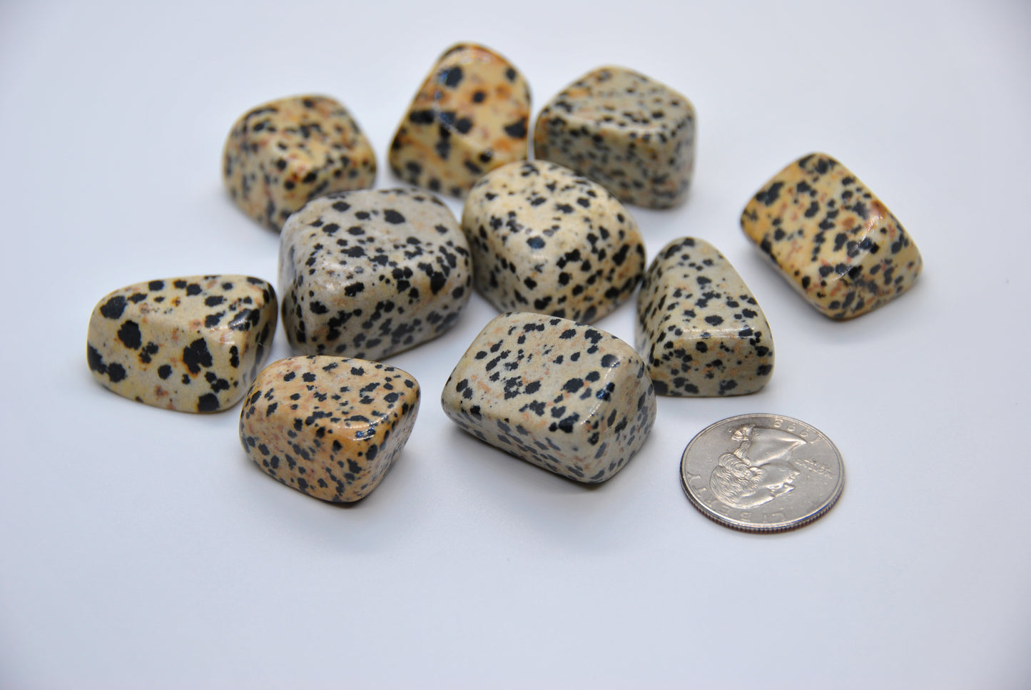 Dalmatian Jasper Tumbled Pocket Stone