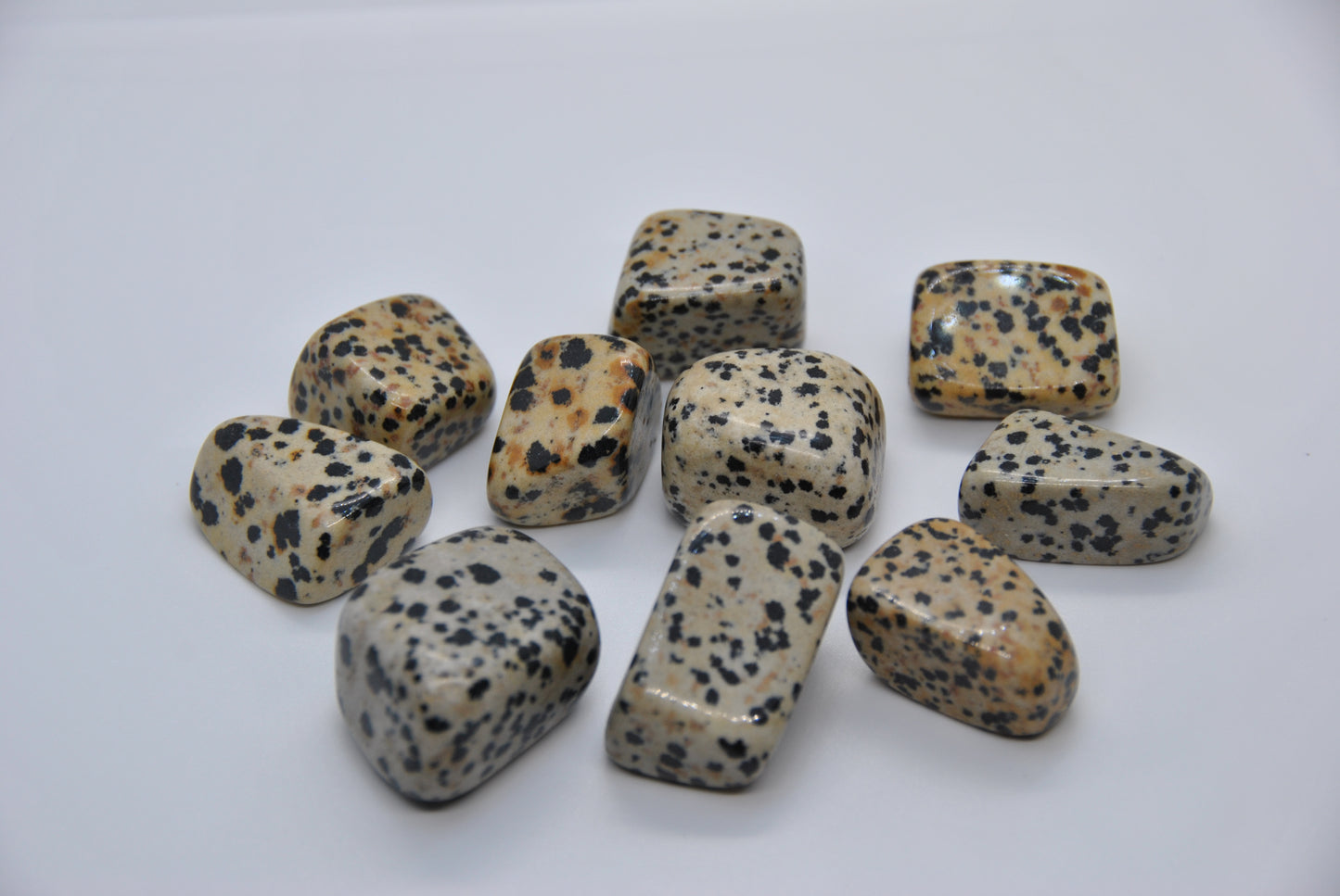 Dalmatian Jasper Tumbled Pocket Stone