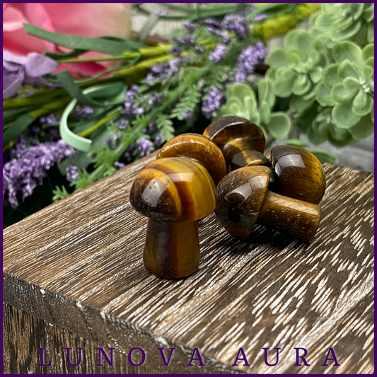 Tiger's Eye Mini Mushroom Carving