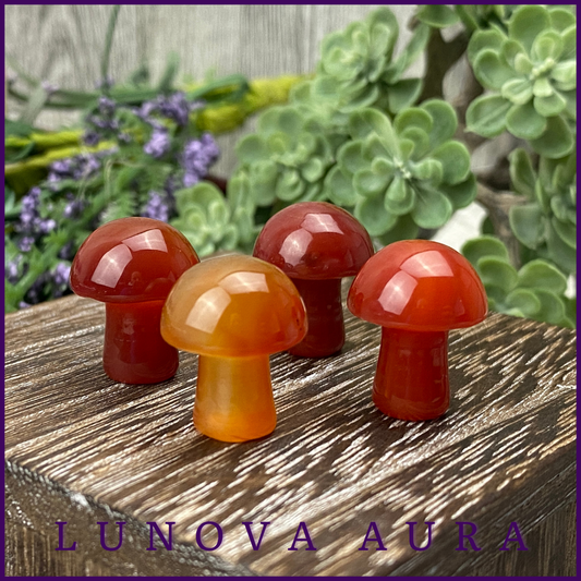 Carnelian Mini Mushroom Carving