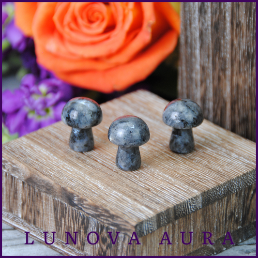 Larvikite Mini Mushroom Carving