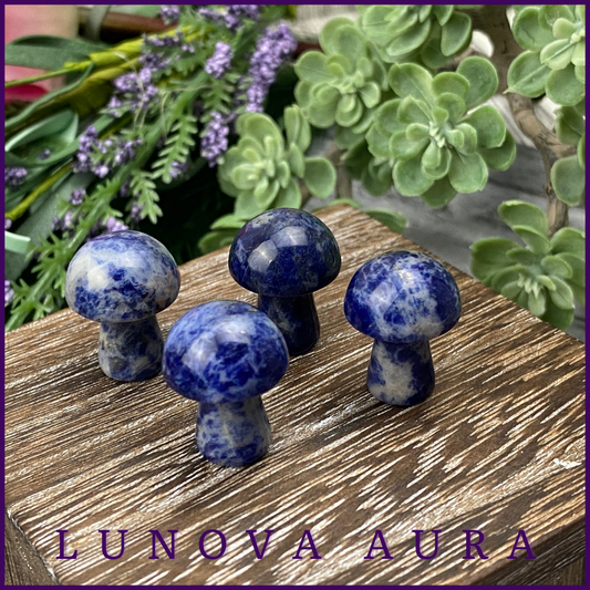 Sodalite Mini Mushroom Carving