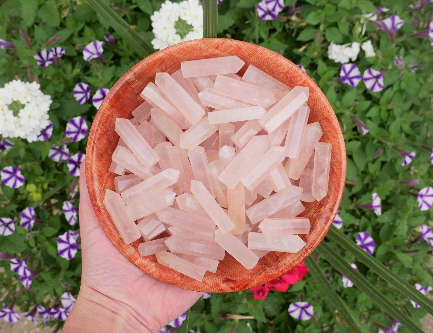 Rose Quartz Crystal Mini Points